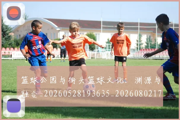 篮球公园与街头篮球文化：渊源与融合_20260528193635_20260802170337