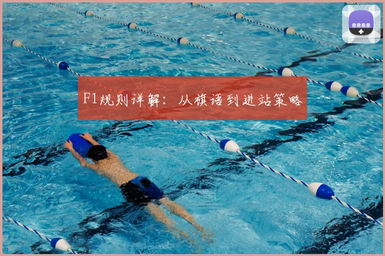 F1规则详解:从旗语到进站策略