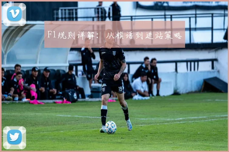 F1规则详解:从旗语到进站策略